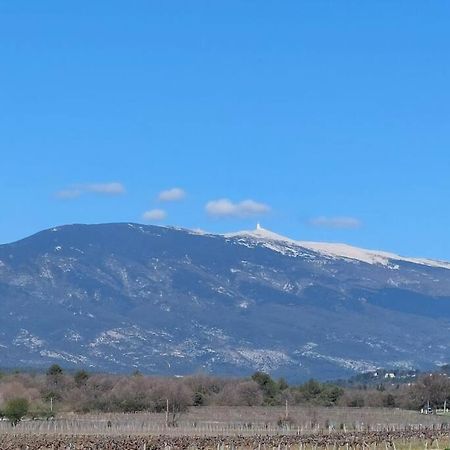 Mon Ventoux Modene Exterior foto